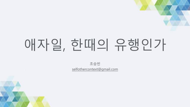 애자일 한때의 유행인가?
