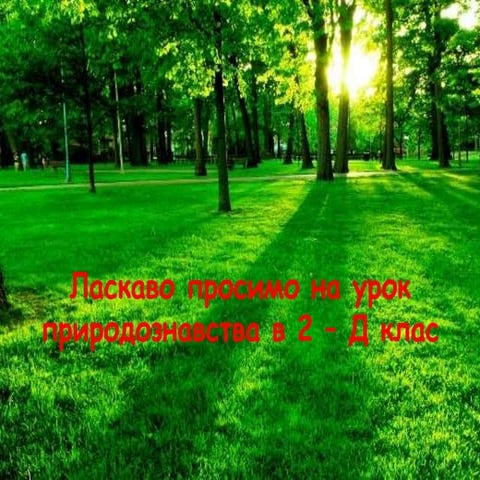 Урок з природознавства , 2 клас "Життя тварин у лісі влітку"