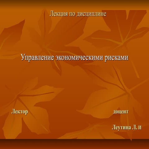 мульт. риск тема 2.презентация1