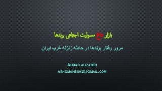 بازار داغ مسولیت اجتماعی برندها در زلزله کرمانشاه(earthquake in iran)