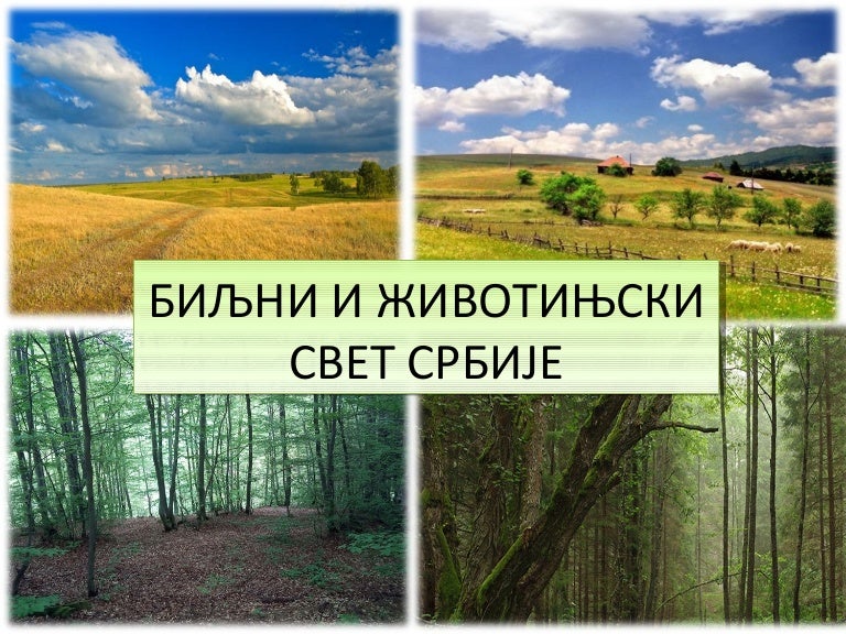 Биљни и животињски свет Србије
