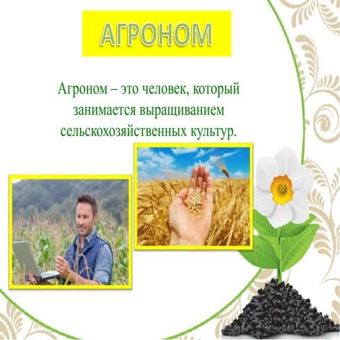 Агроном | PPT