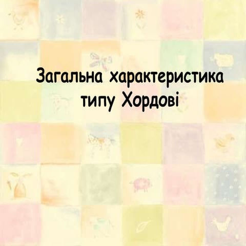 Хордові. Загальна характеристика.