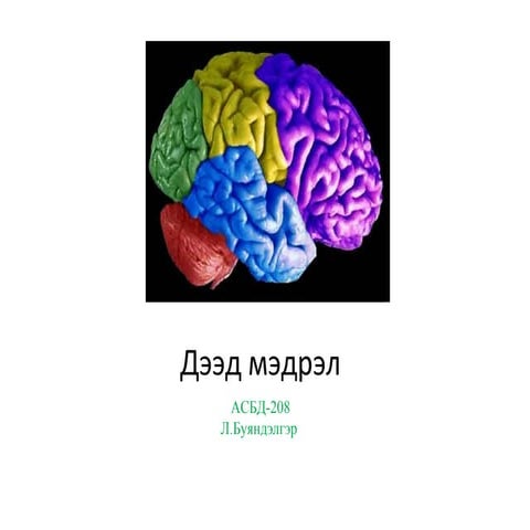 мэдрэхүй