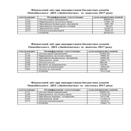 фінансовий звіт