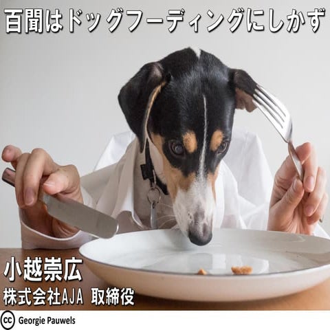 百聞はドッグフーディングにしかず