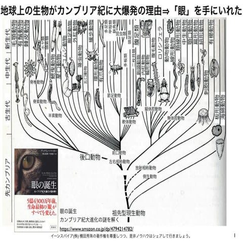 地球上の生物がカンブリア紀に大爆発とAI(人工知能)の関連性
