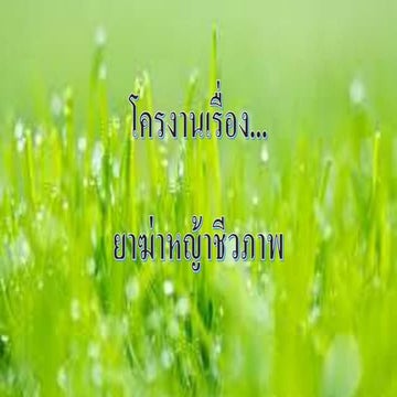 โครงานเรื่องยาฆ่าหญ้าชีวภาพ
