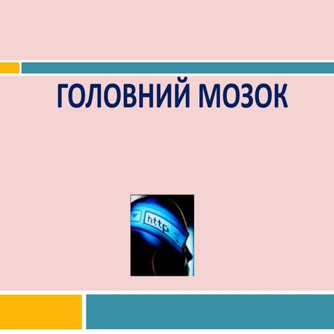 головний мозок
