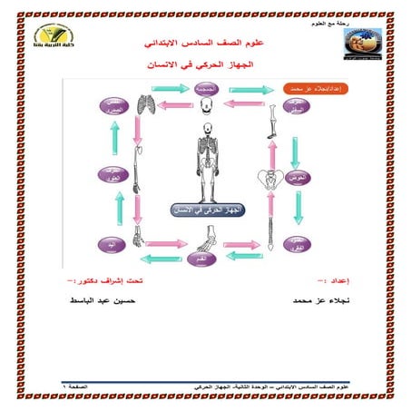 علوم الصف السادس 