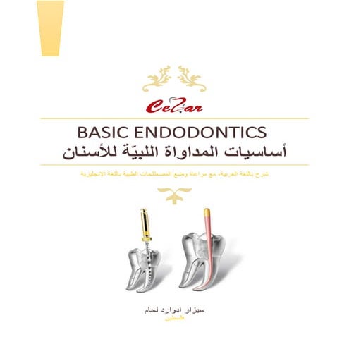 ملخص اندو   سيزار