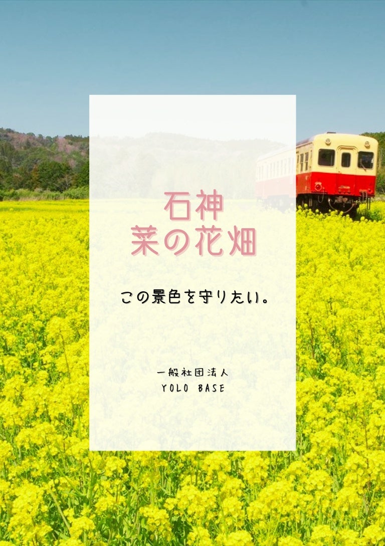 石神 菜の花畑