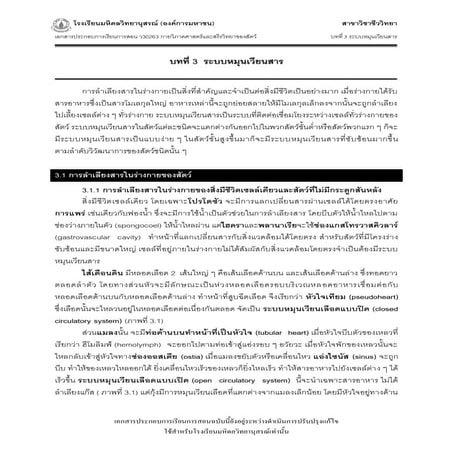 ระบบหมุนเวียนเลือด