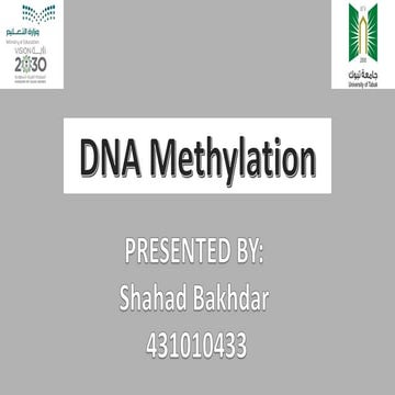 DNA Methylation