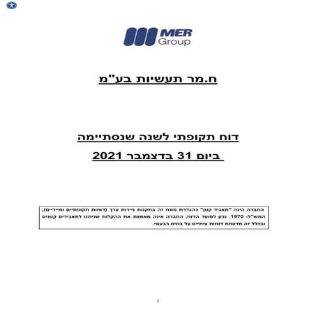 דוח מאוחד_נגיש.pdf