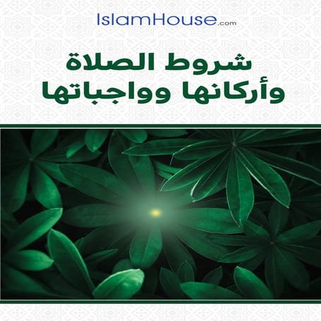 شروط الصلاة وأركانها وواجباتها