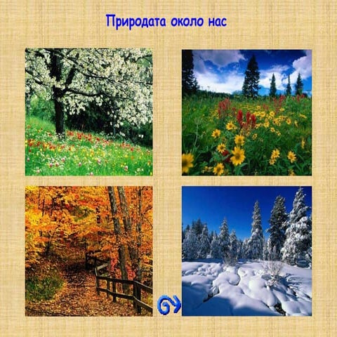 Природата около нас.ppt