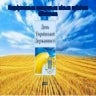 день незалежности україни коли
