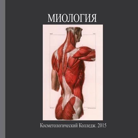 Миология.pptx