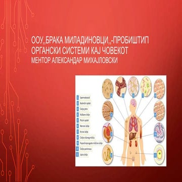 Органски-системи-кај-човекот.ppt