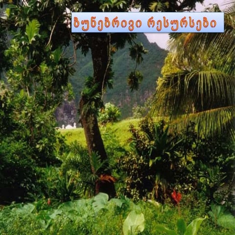 ბუნებრივი რესურსები.pptx