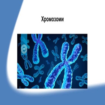 хромозоми.pptx
