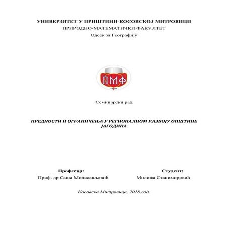 Драган-Станимировић-Мастер-рад.docx