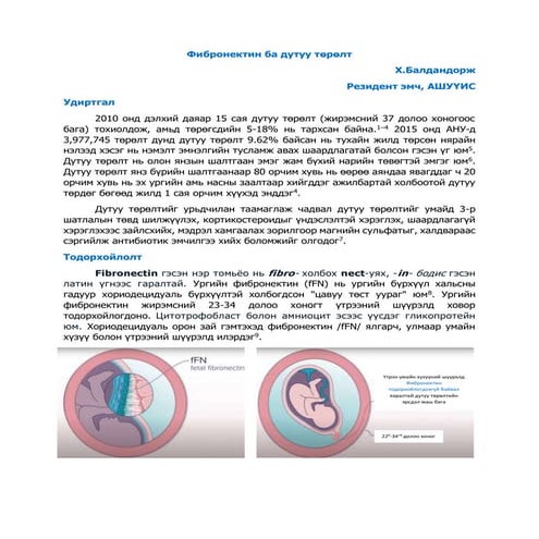 Фибронектин.docx