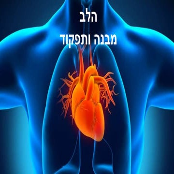 מערכת ההובלה - הלב.pptx