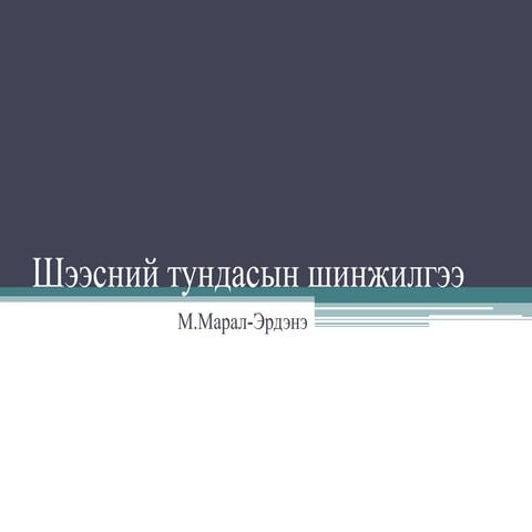 Шээсний тундасын шинжилгээ.pptx