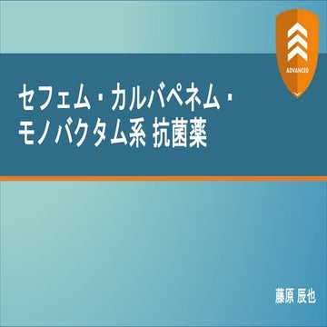 セフェム・カルバペネム・モノバクタム系 抗菌薬 【ADVANCED2022】