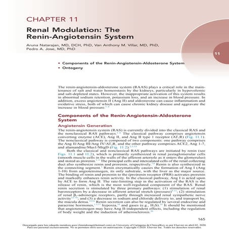 Renin angiotensin aldosterone system | PPTX