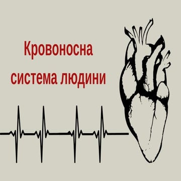Кровоносна система людини.pptx