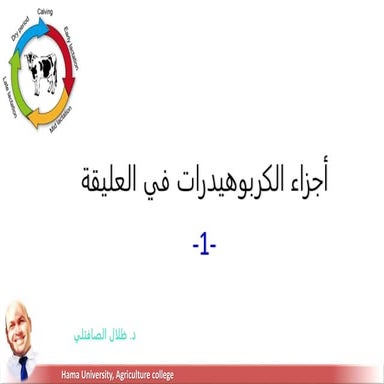 أجزاء الكربوهيدرات في العليقة.pptx