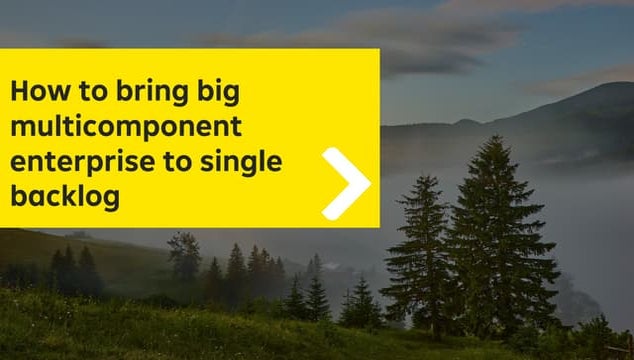 Mariia Abdullina and Yana Bort: Як обʼєднати багатокомпонентний ентерпрайз на...