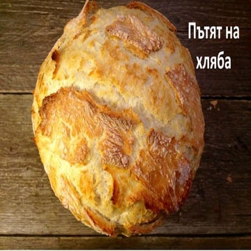 Пътят на хляба.pptx