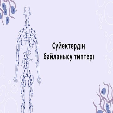 Лесбилер бір-бірін әдемі жалайды