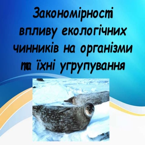 20.02.2024.pptx20.02.2024.pptx20.02.2024.pptx