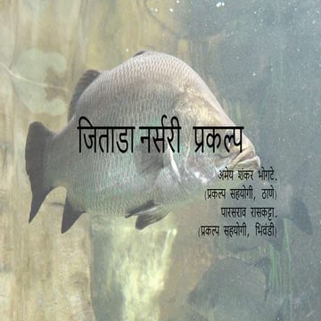 Seabass nursery project mangrove foundation of maharashtra.pptx