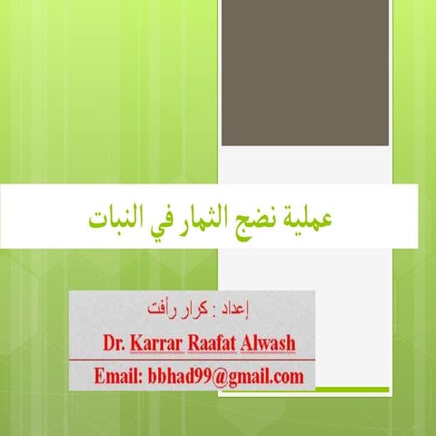 عملية نضج الثمار في النبات الدكتور كرار رأفت علوش