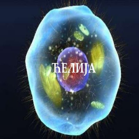 Грађа ћелије Грађа ћелије Грађа ћелије.pptx