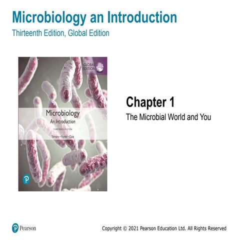 ١٢٣٤.pdf تلحعرعاع عخلعلمىلعملمع اsfdf sdf