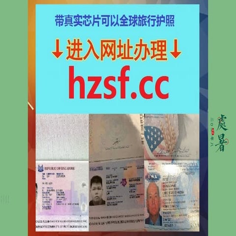 高仿护照购买【购买真假护照:hzsf.cc】高仿护照购买【购买真假护照:hzsf.cc】 | PPTX