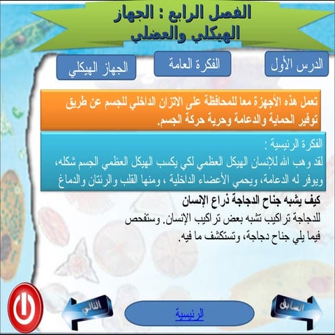 الجهاز العضلي والهيكلي في جسم الانسان.ppt