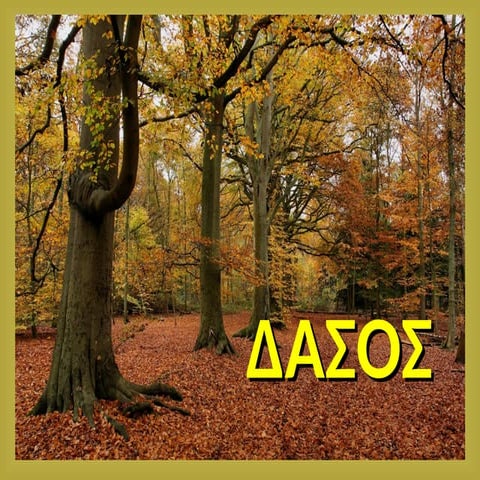 τα δάση μας - τα ελληνικά δάση της πατρίδας μας.ppt