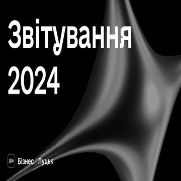 Публічний звіт ГО "Діджитал Вектор" (Дія. Бізнес. Луцьк) за 2024 рік.pdf