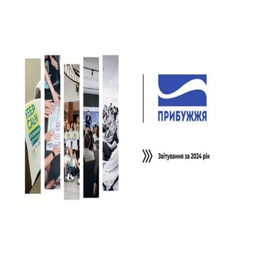 Публічний звіт ГО "Агенція регіонального розвитку Прибужжя" за 2024 рік.pdf