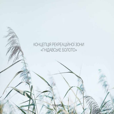Концепція рекреаційної зони "Гнідавське болото" у Луцьку