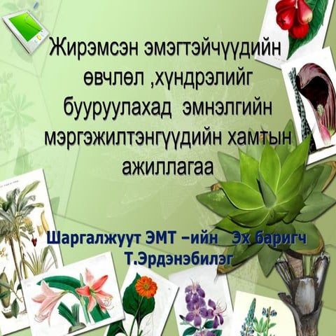 Жирэмсэн эхчүүдэд өвчлөл хүндрэл бууруулах