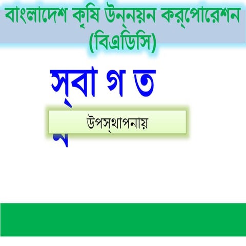 Civil servant code of conduct .pptx